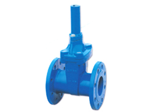 鎖閉(bi)彈性(xing)座封(feng)閘閥(fa)